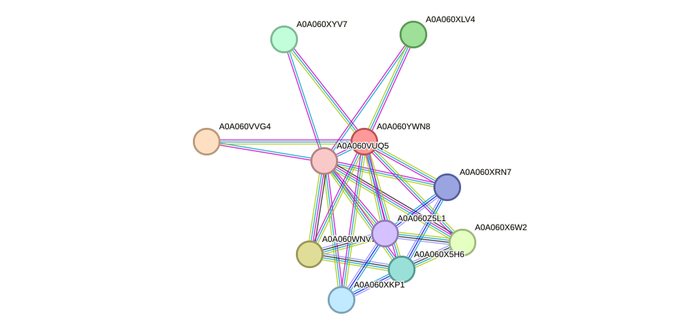 STRING protein interaction network