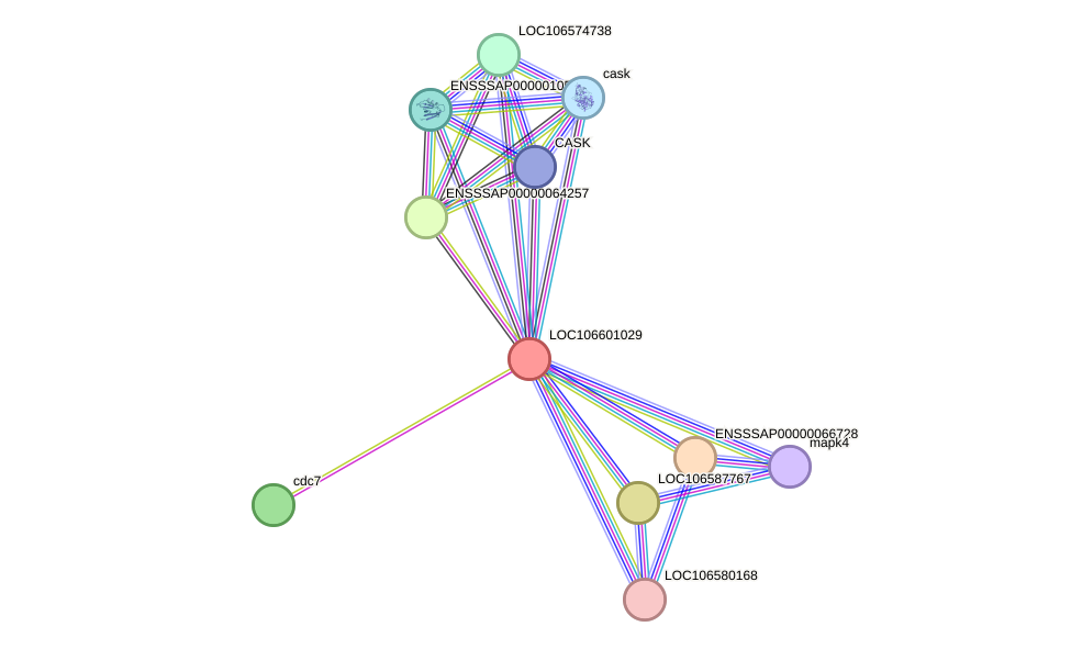 STRING protein interaction network