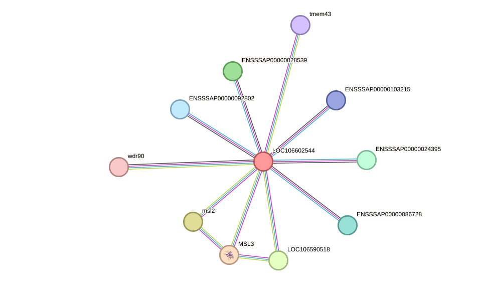 STRING protein interaction network