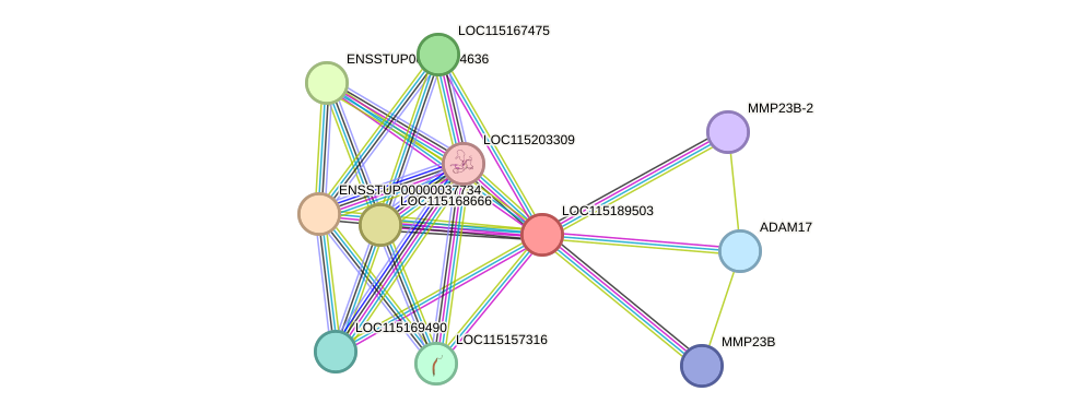 STRING protein interaction network