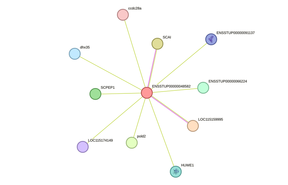 STRING protein interaction network