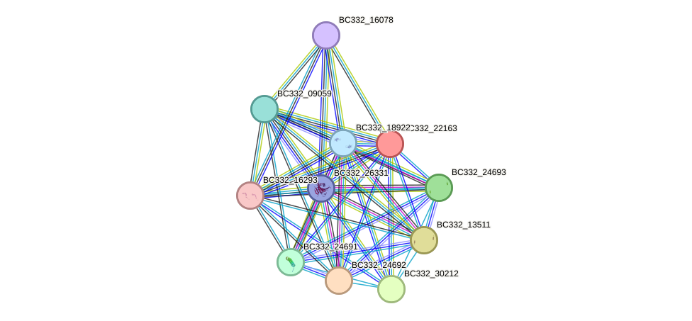 STRING protein interaction network