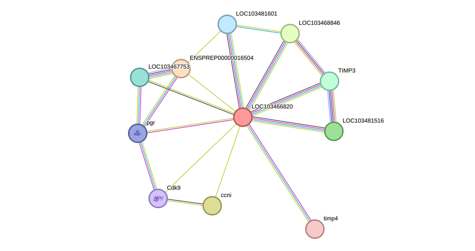 STRING protein interaction network