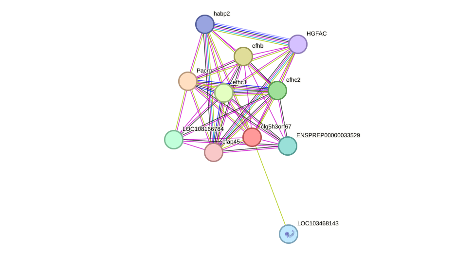 STRING protein interaction network
