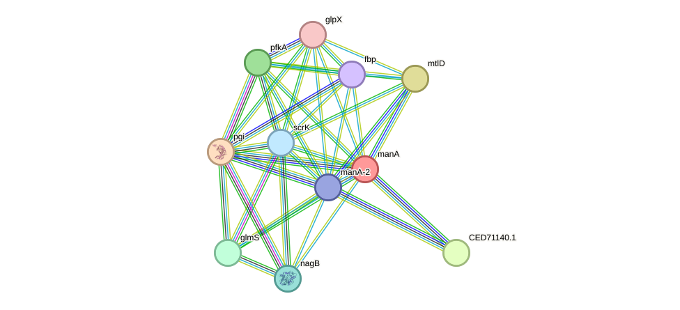 STRING protein interaction network