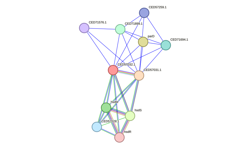 STRING protein interaction network