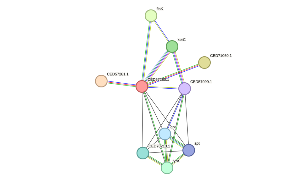 STRING protein interaction network
