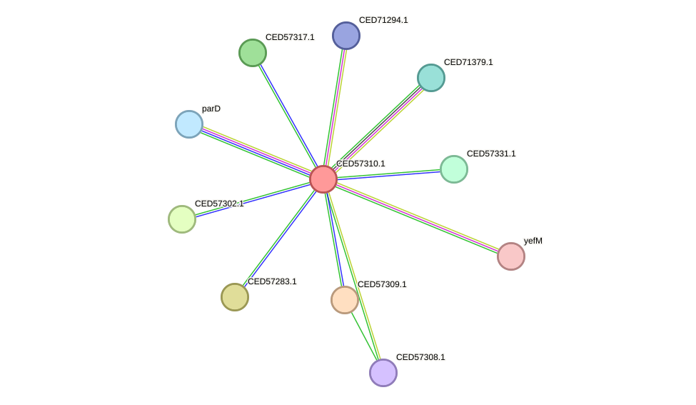 STRING protein interaction network