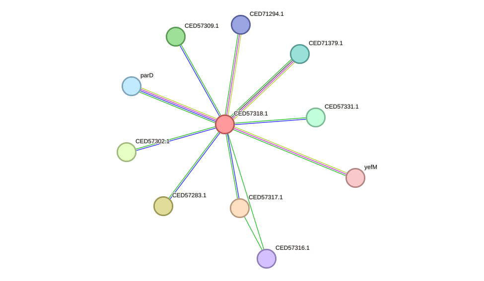 STRING protein interaction network