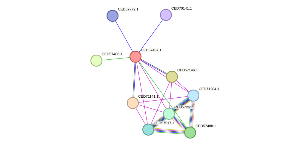 STRING protein interaction network