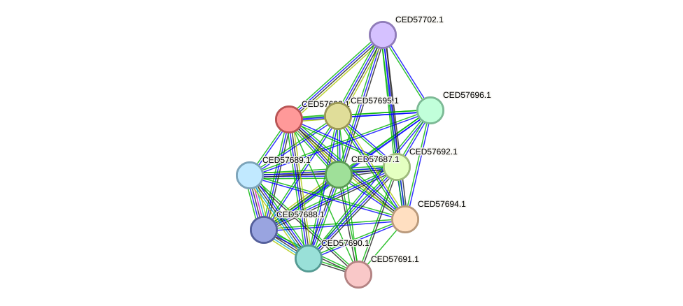 STRING protein interaction network