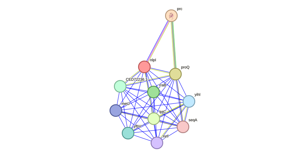 STRING protein interaction network