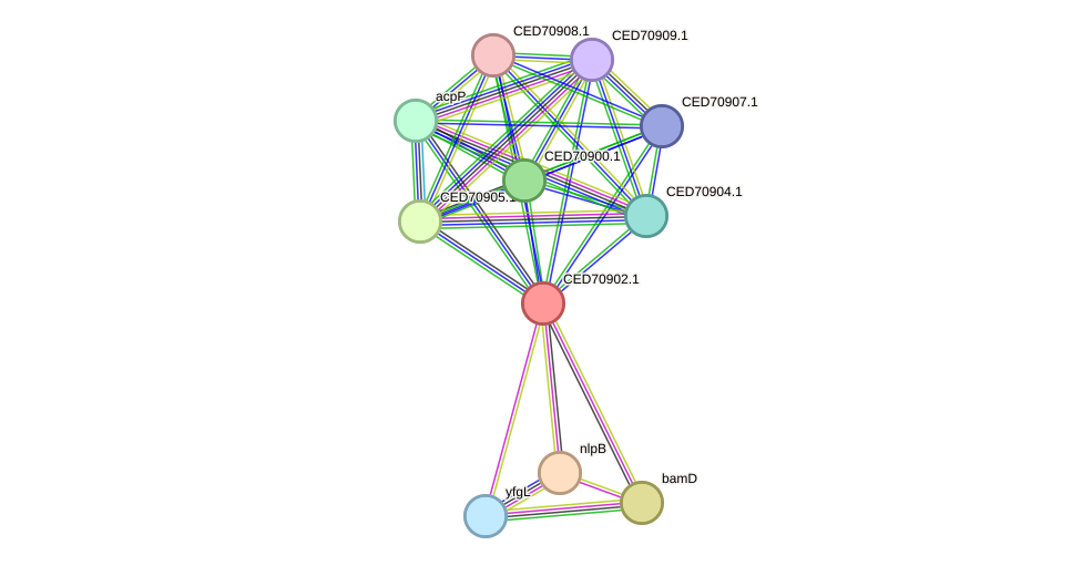 STRING protein interaction network