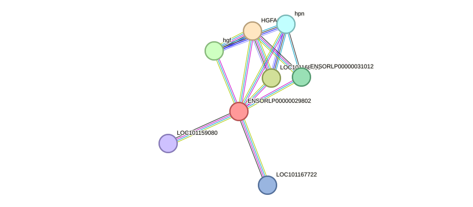 STRING protein interaction network