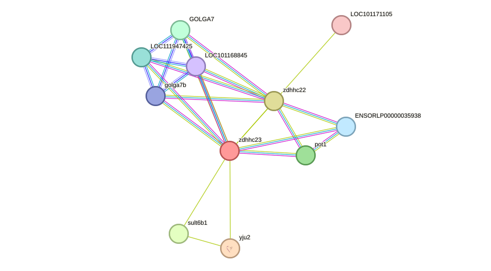 STRING protein interaction network