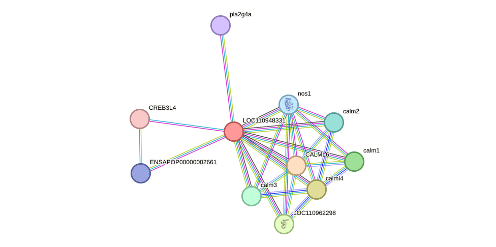 STRING protein interaction network
