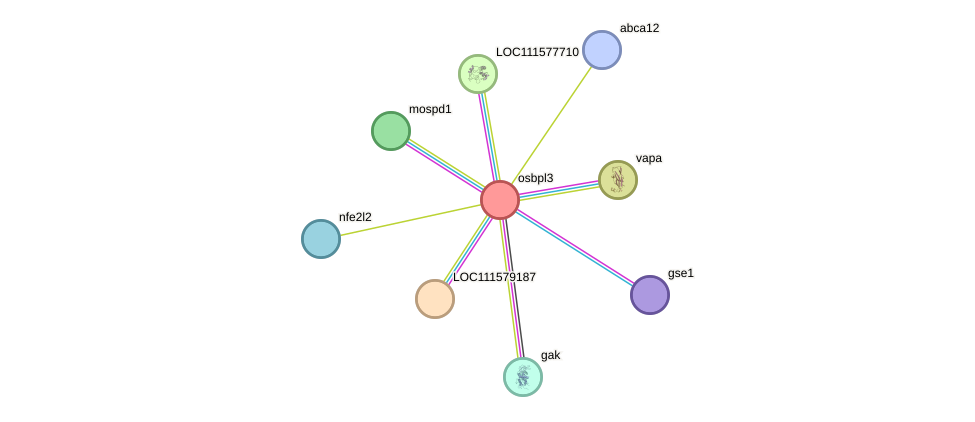 STRING protein interaction network