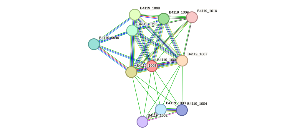 STRING protein interaction network