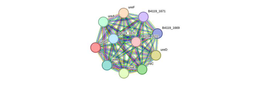 STRING protein interaction network