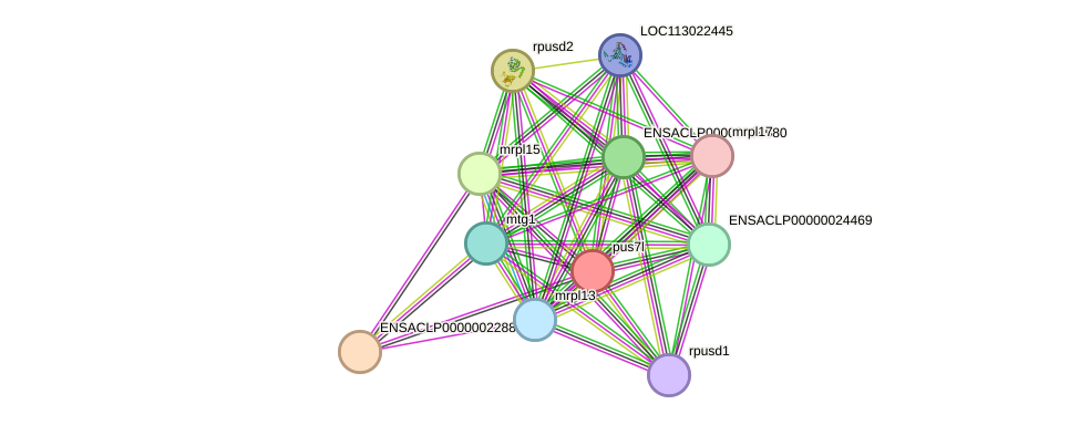 STRING protein interaction network