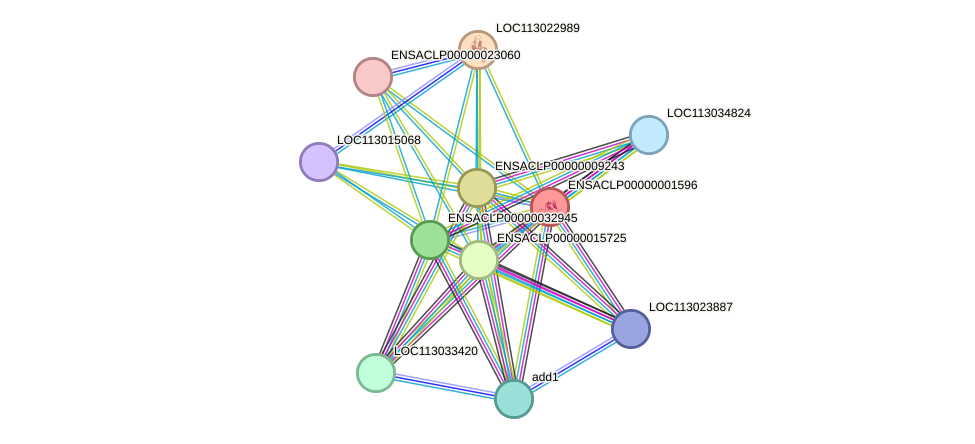 STRING protein interaction network