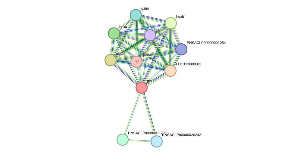 STRING protein interaction network