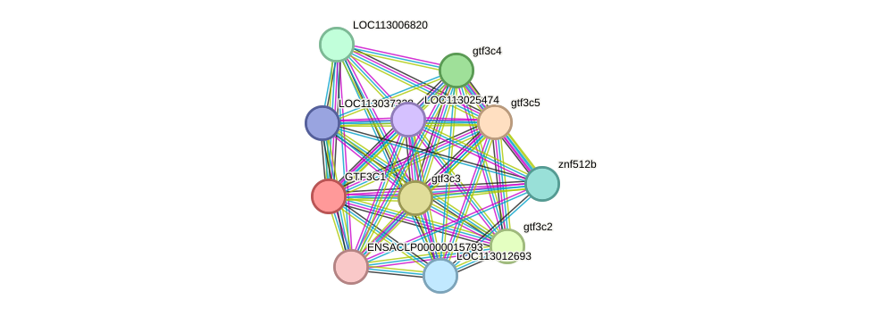 STRING protein interaction network