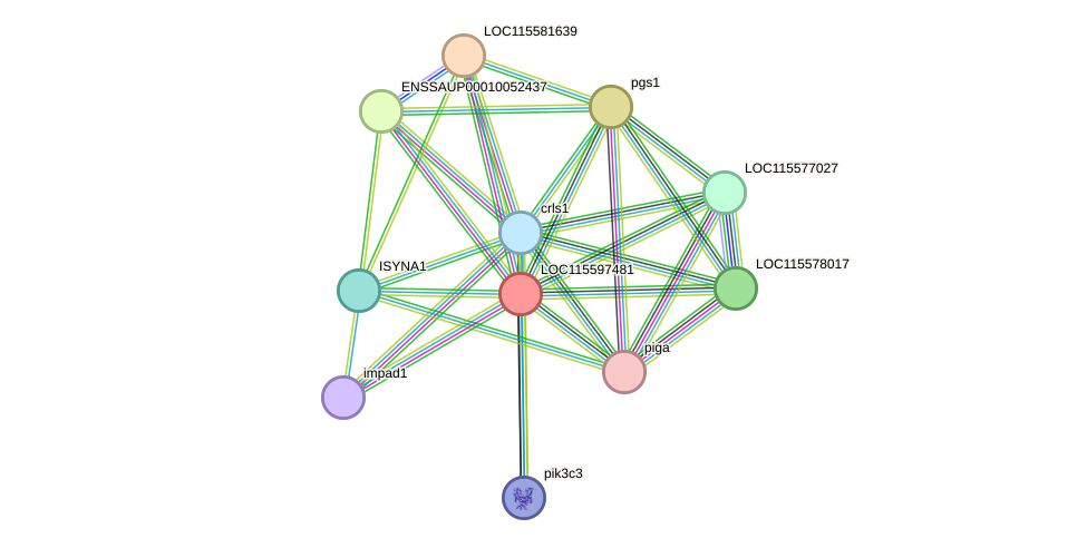 STRING protein interaction network