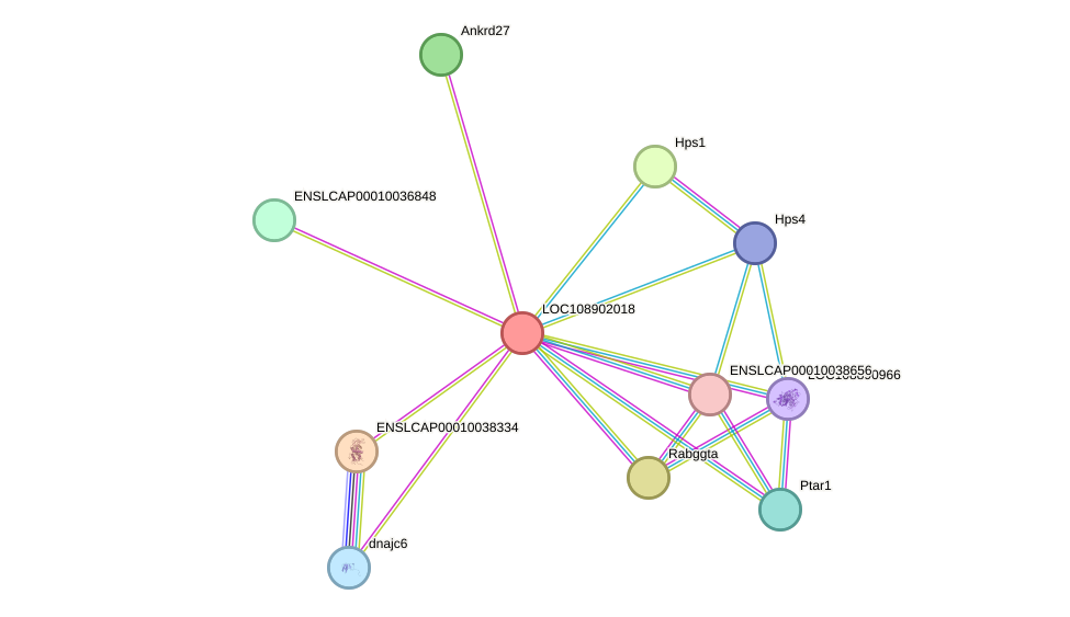 STRING protein interaction network