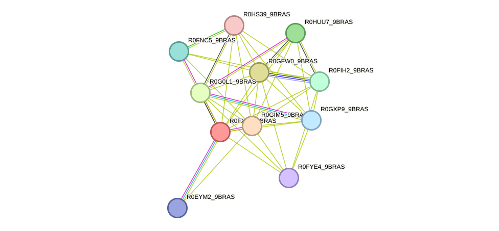 STRING protein interaction network