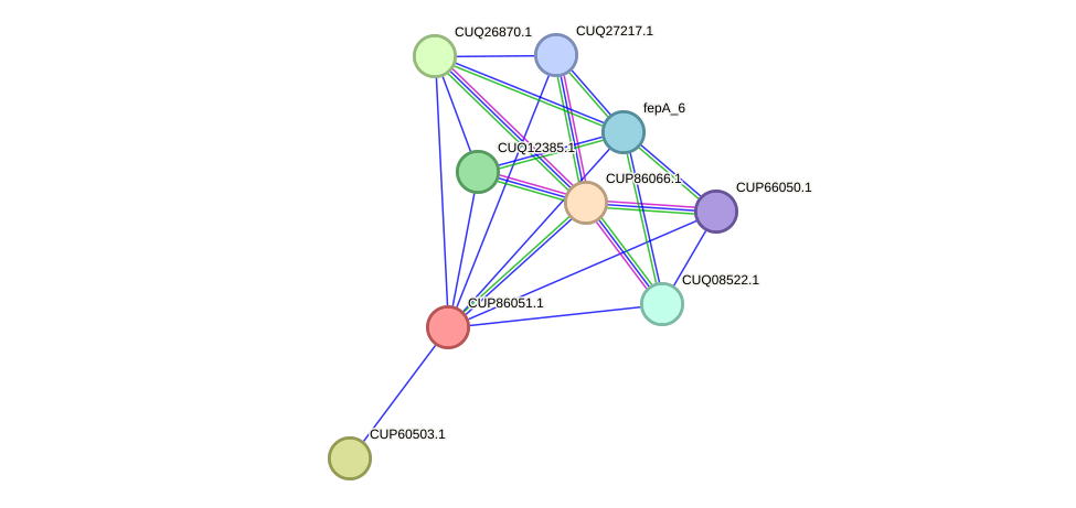 STRING protein interaction network