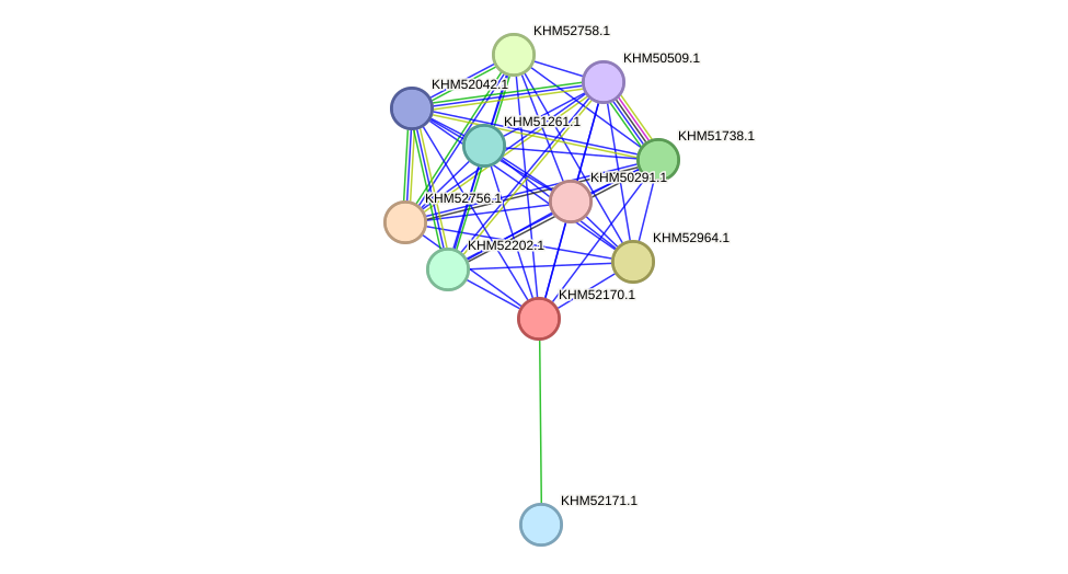 STRING protein interaction network