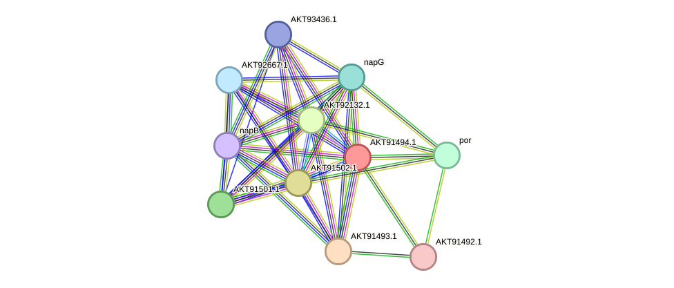 STRING protein interaction network