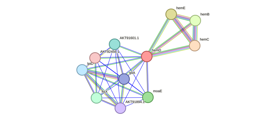 STRING protein interaction network