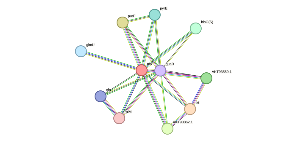 STRING protein interaction network
