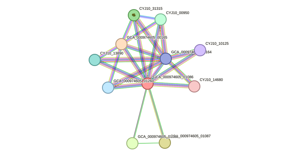 STRING protein interaction network