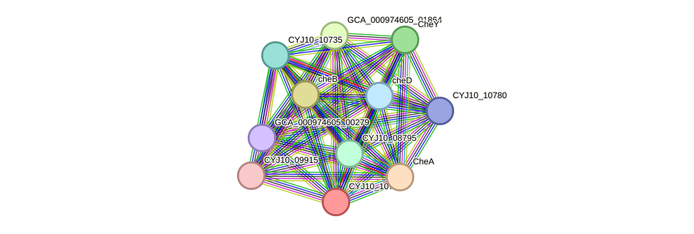 STRING protein interaction network