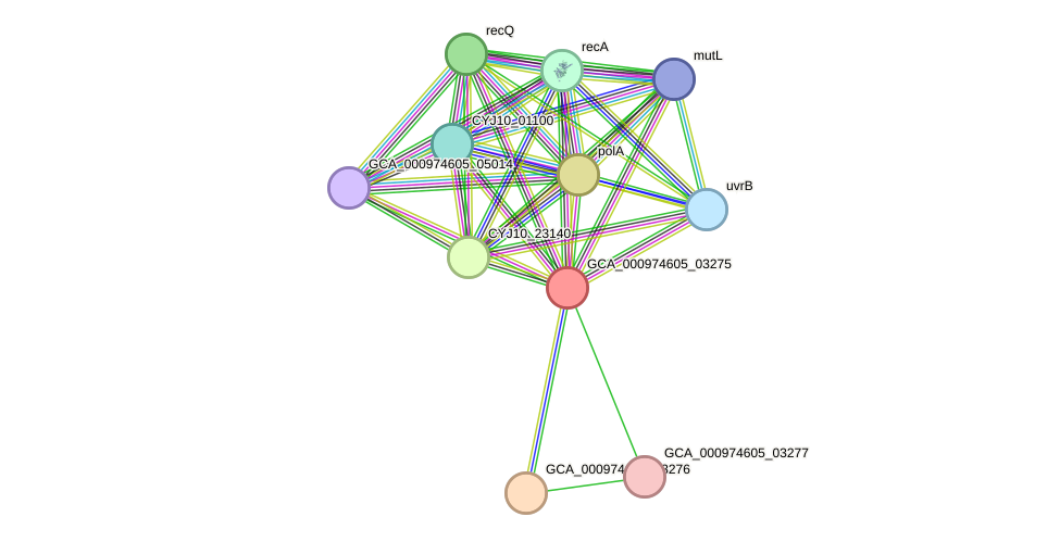 STRING protein interaction network