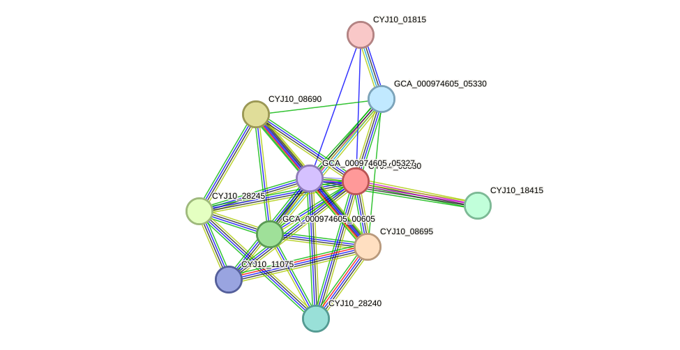 STRING protein interaction network