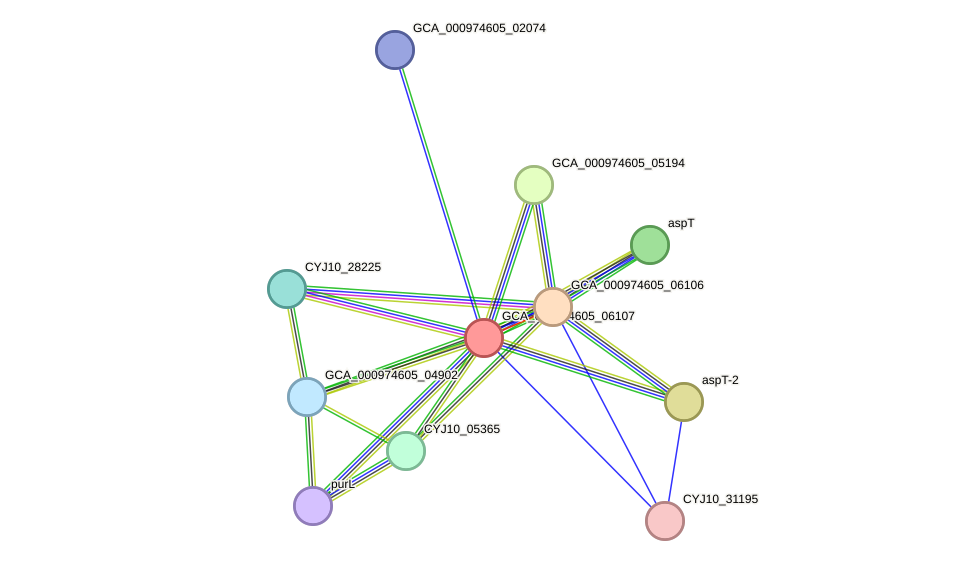 STRING protein interaction network