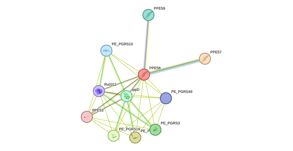 STRING protein interaction network