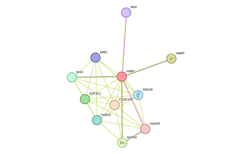 STRING protein interaction network