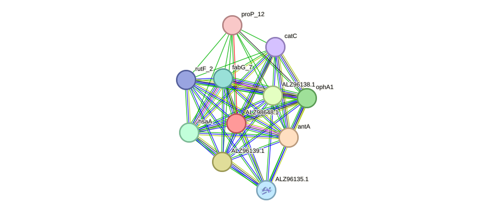 STRING protein interaction network