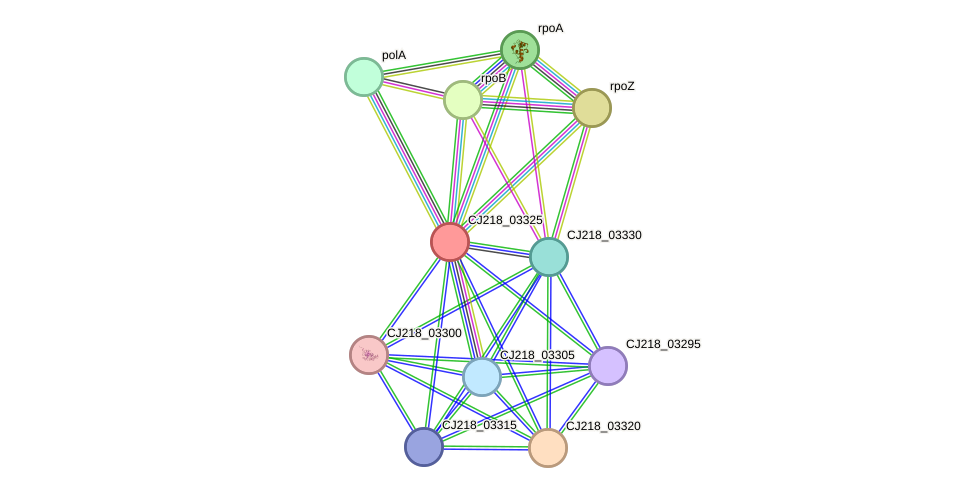 STRING protein interaction network