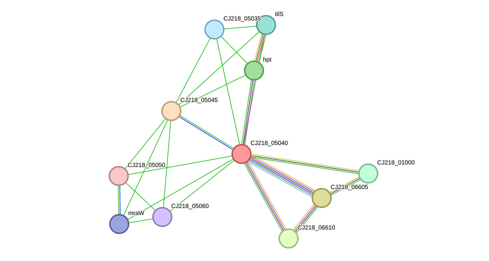 STRING protein interaction network