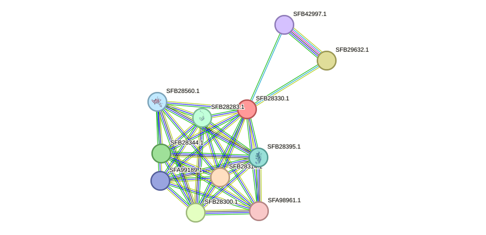 STRING protein interaction network