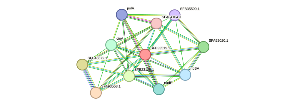 STRING protein interaction network