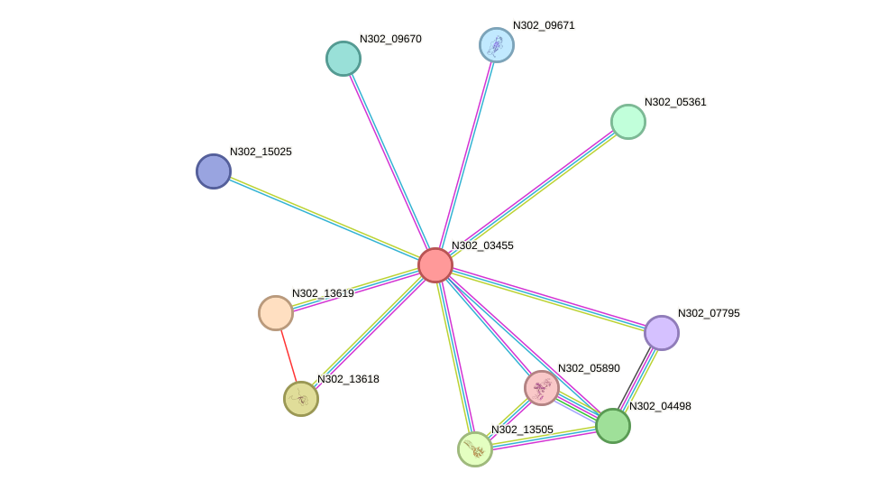 STRING protein interaction network