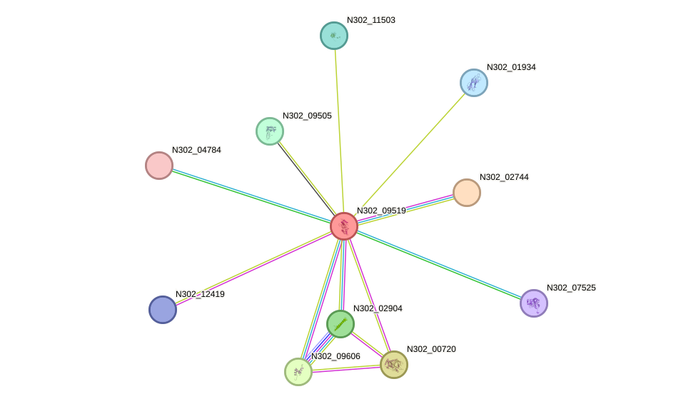 STRING protein interaction network