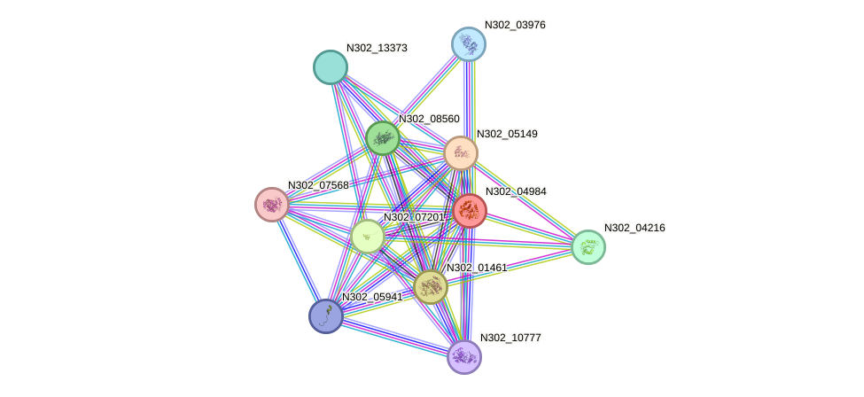 STRING protein interaction network